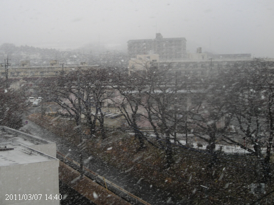 2011年3月7日の降雪の様子